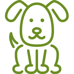 Green line drawing of a dog.